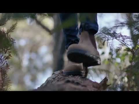 Hard Yakka Insoles in Black | Men&
